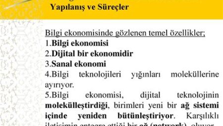 Bilgi Ekonomisinde İnsan Kaynağı