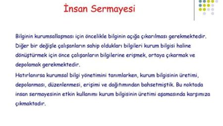 Bilgi Sermayesinin Şirketlere Katkısı