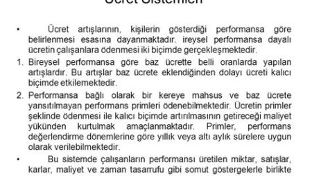 Bilgiye Dayalı Performans Değerlendirme Sistemleri