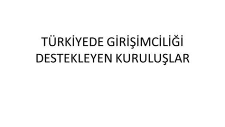 Girişimciliği Destekleyen Tarihi Politikalar