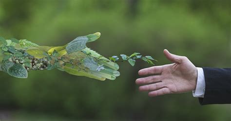 İş Dünyasında Sürdürülebilirlik Uygulamaları