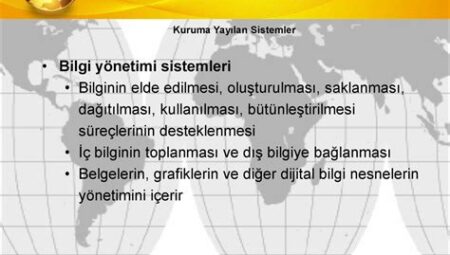 Küresel Krizlerde Bilgi Akışı Yönetimi