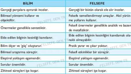 Tarih ve Bilgi Arasındaki Felsefi Bağ