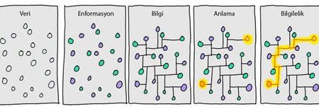 Veri ve Bilgi Arasındaki Farklar